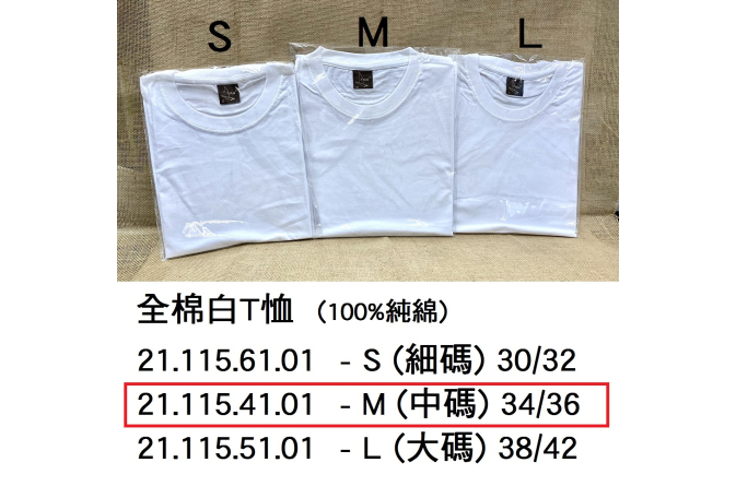 21.115.41.01 _全棉白T恤 M