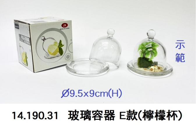 14.190.31 _玻璃容器 E款(檸檬杯)