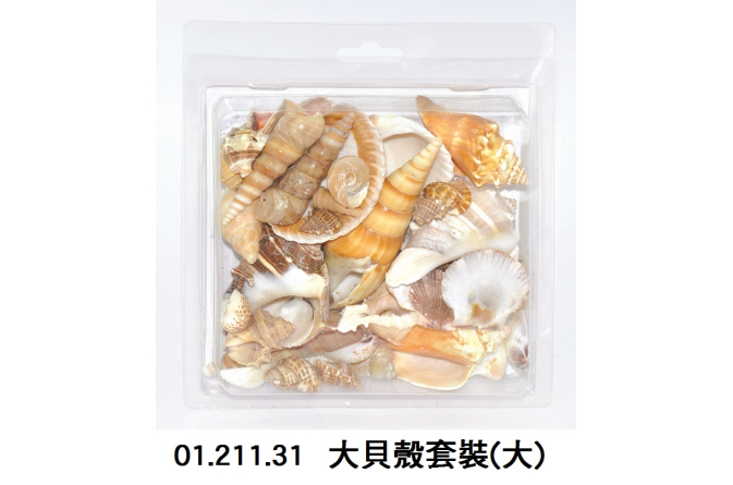 01.211.31 _大貝殼套裝(大)