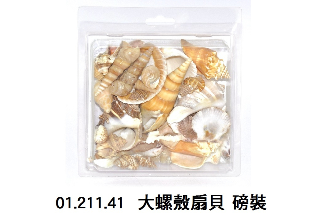 01.211.41 _大螺殼扇貝 磅裝