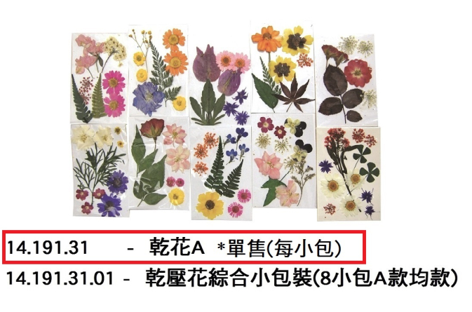 14.191.31 _乾花A