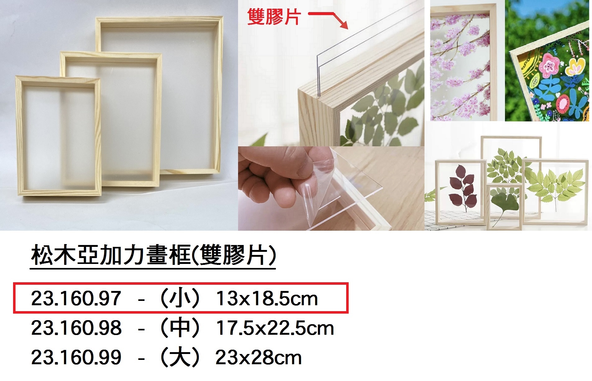 23.160.97 _松木亞加力畫框(雙膠片)-小 13x18.5cm