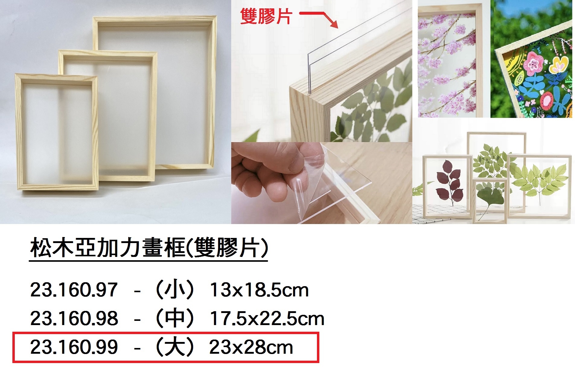 23.160.99 _松木亞加力畫框(雙膠片)-大 23x28cm