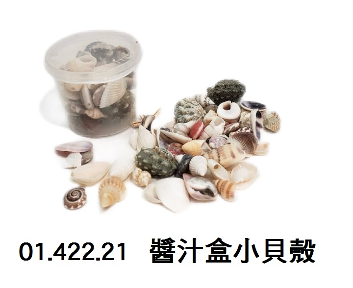 01.422.21 _醬汁盒小貝殼