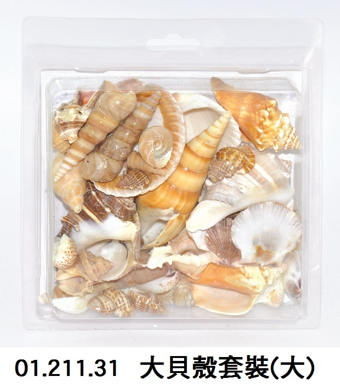 01.211.31 _大貝殼套裝(大)