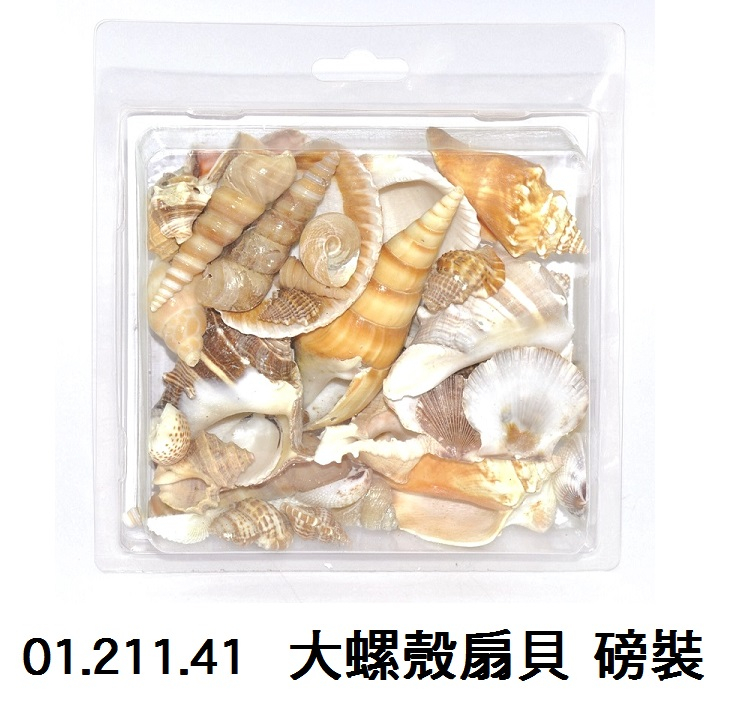 01.211.41 _大螺殼扇貝 磅裝
