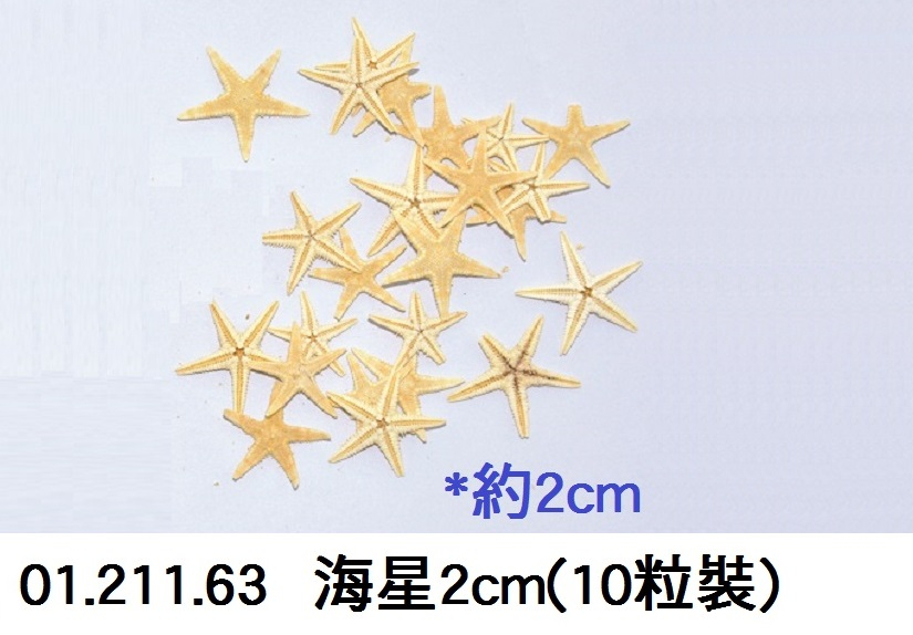 01.211.63 _海星2cm(10粒裝)