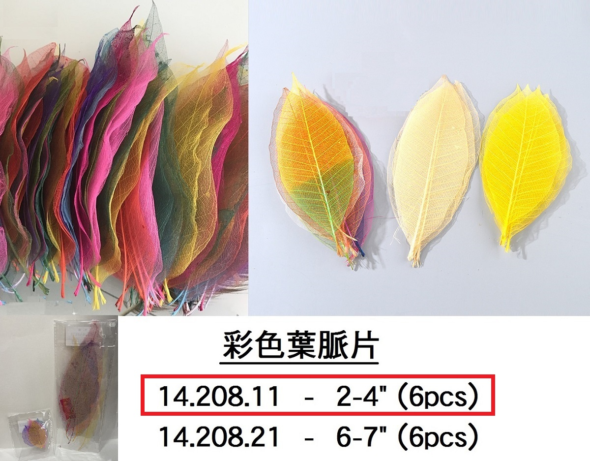 14.208.11 _彩色葉脈片 2~4” (6pcs)