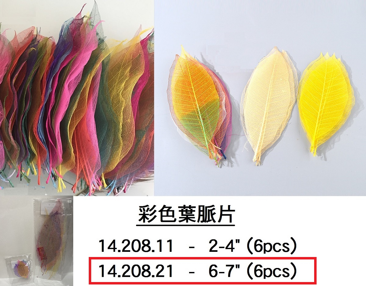 14.208.21 _彩色葉脈片 6~7” (6pcs)