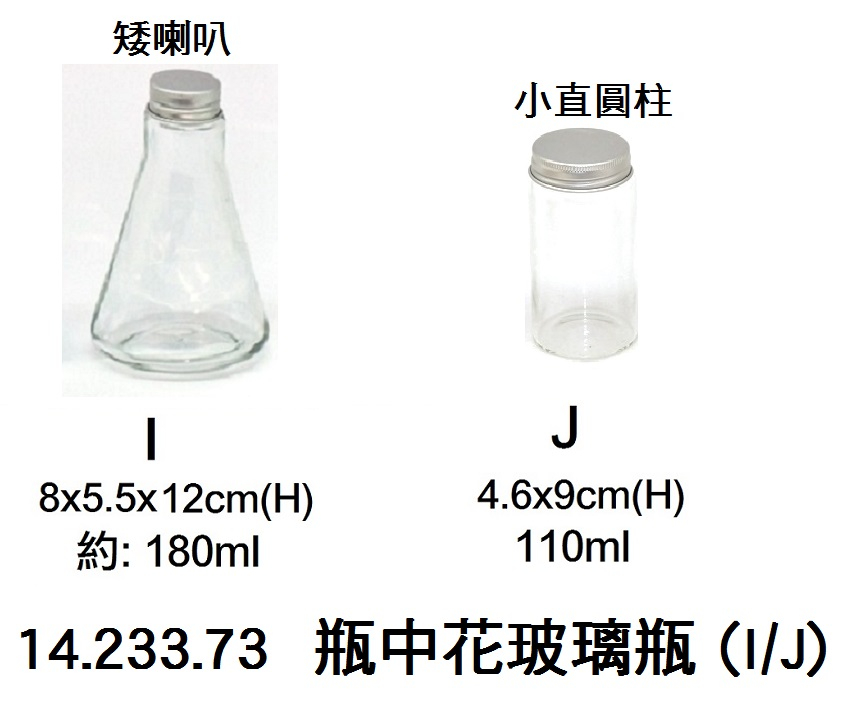 14.233.73 _瓶中花玻璃瓶 (I｜J)