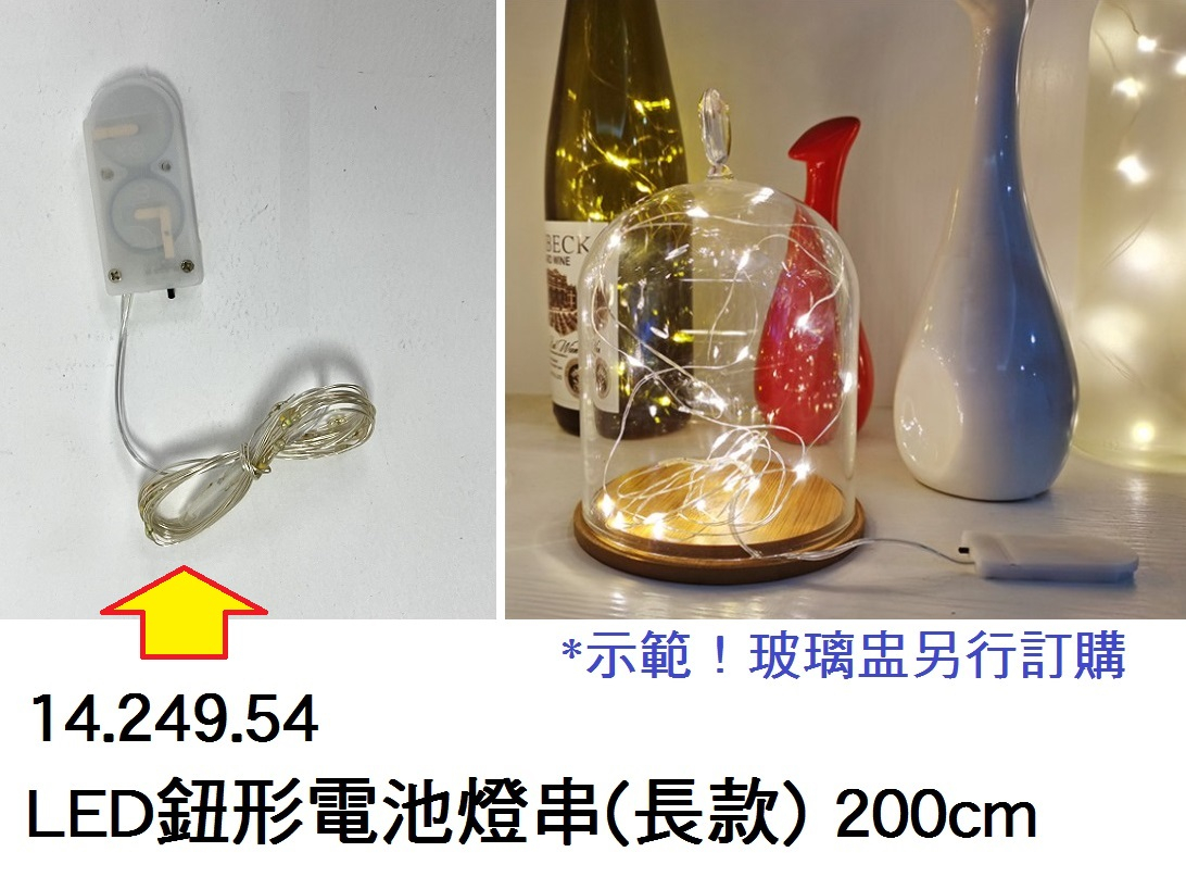 14.249.54 _LED 鈕形電池燈串(長款)200cm