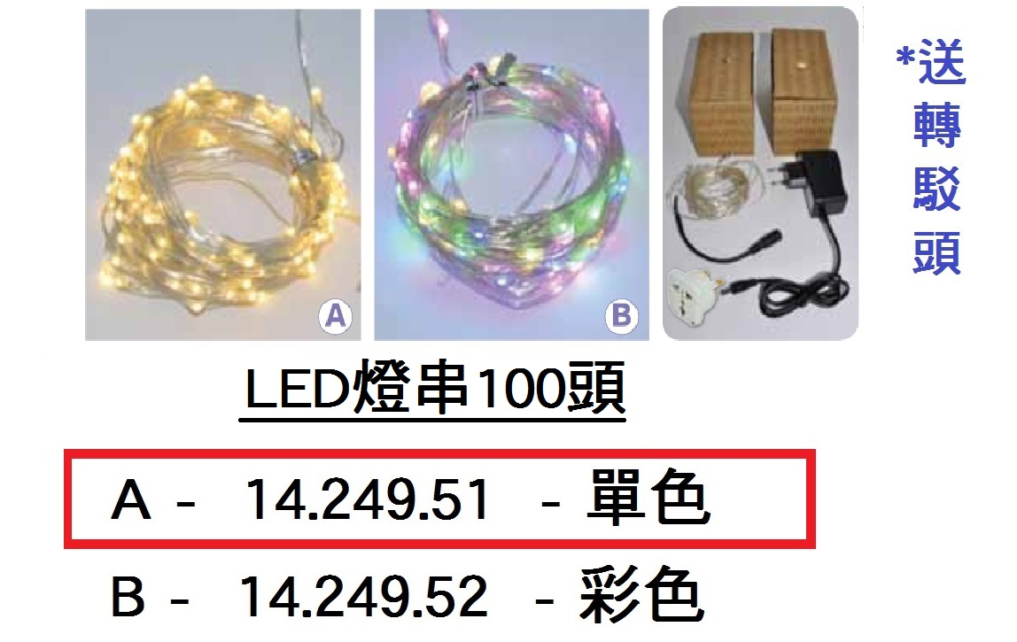 14.249.51 _LED燈串100頭 (A款)