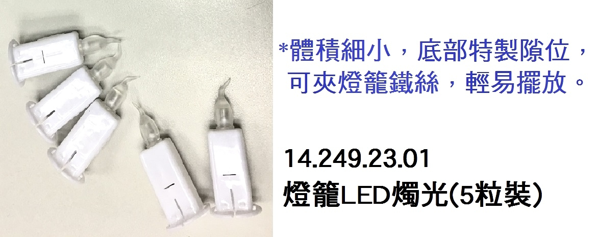 14.249.23.01 _燈籠LED燭光(5粒裝)